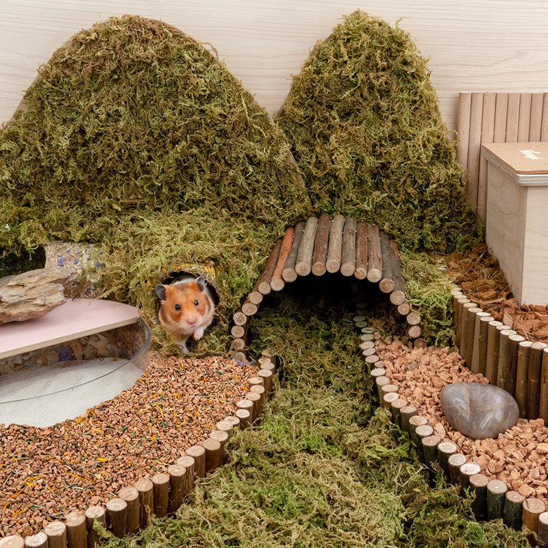 Oak Cork Hamster Bedding Dust Free Landscaping Supplies
