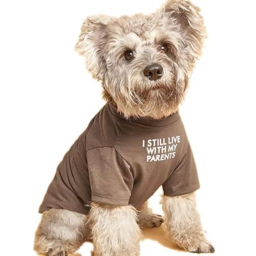 Pet Round Neck T-Shirt Apparel