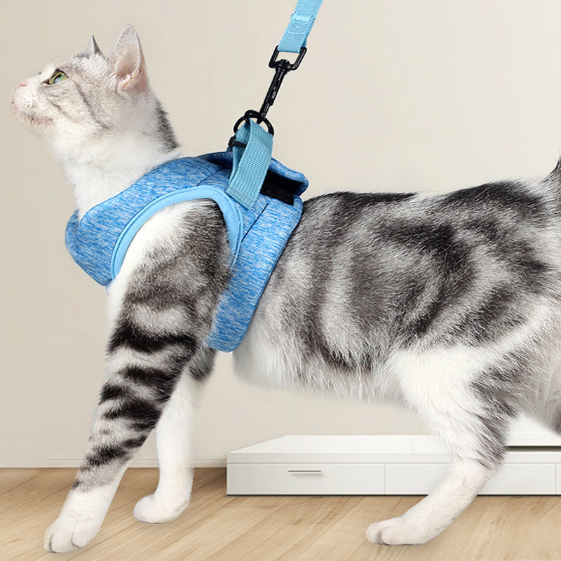 Breathable Lightweight Pet Chest Strap Lace Rope Leash
