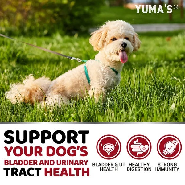 Cranberry Bladder Control Supplement Treats 170 Count