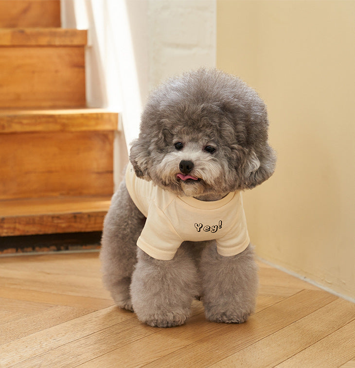 Pet Korean Style Cotton Color Print Short Sleeve T-Shirt