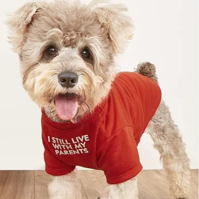 Pet Round Neck T-Shirt Apparel