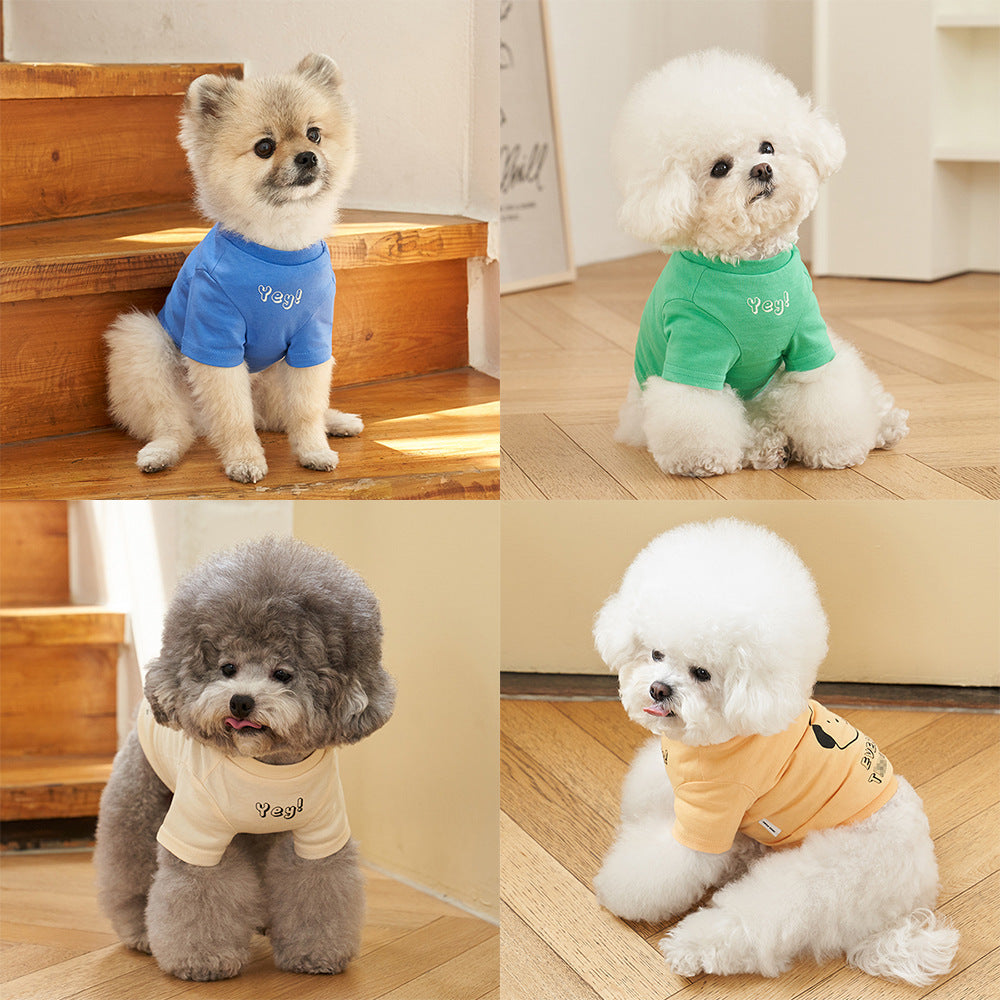 Pet Korean Style Cotton Color Print Short Sleeve T-Shirt