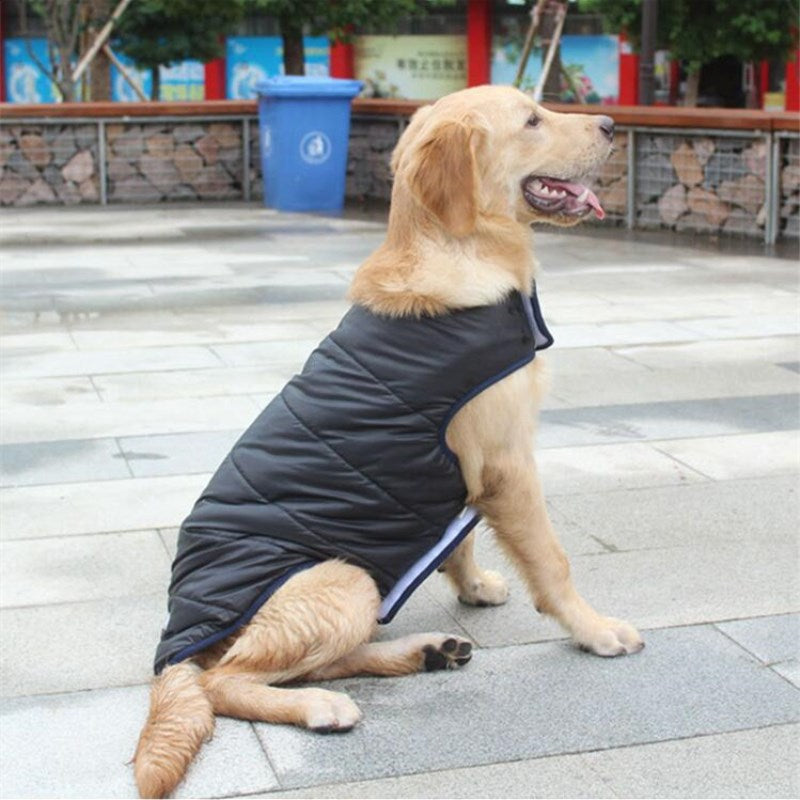 Winter Cotton Pet Coat Warm Outdoor Clothing