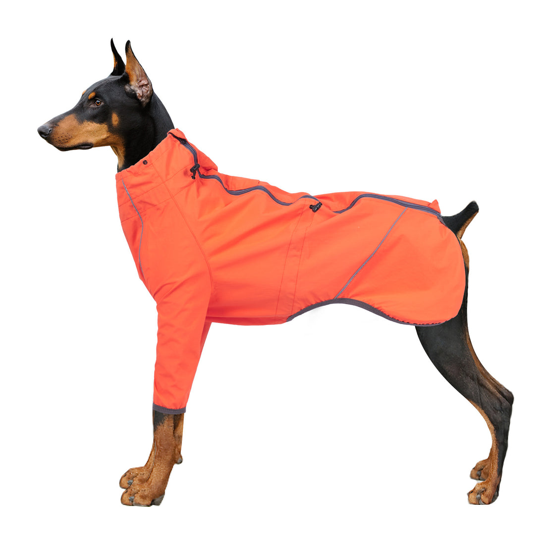 Pet Reflective Traction Hole Protective Clothing