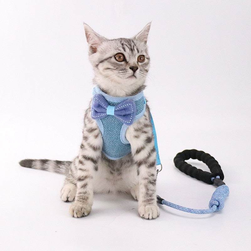 Pet Chest And Back Harness With Control Leash