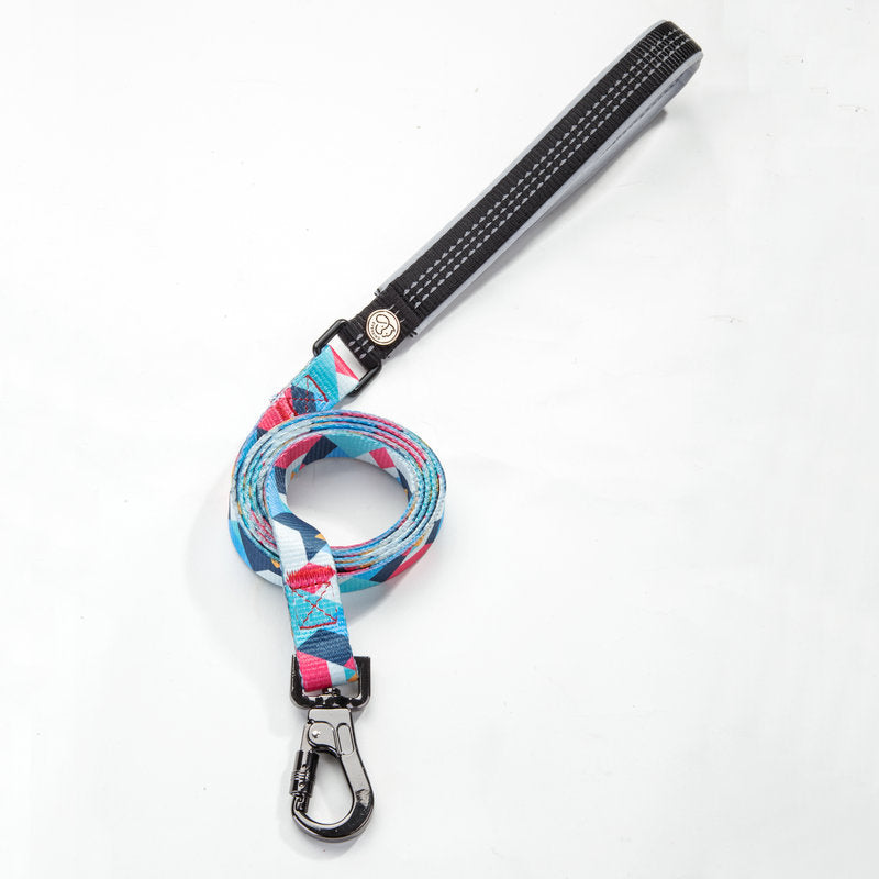 Durable Pet Control Leash Rope Safety Walking Lead