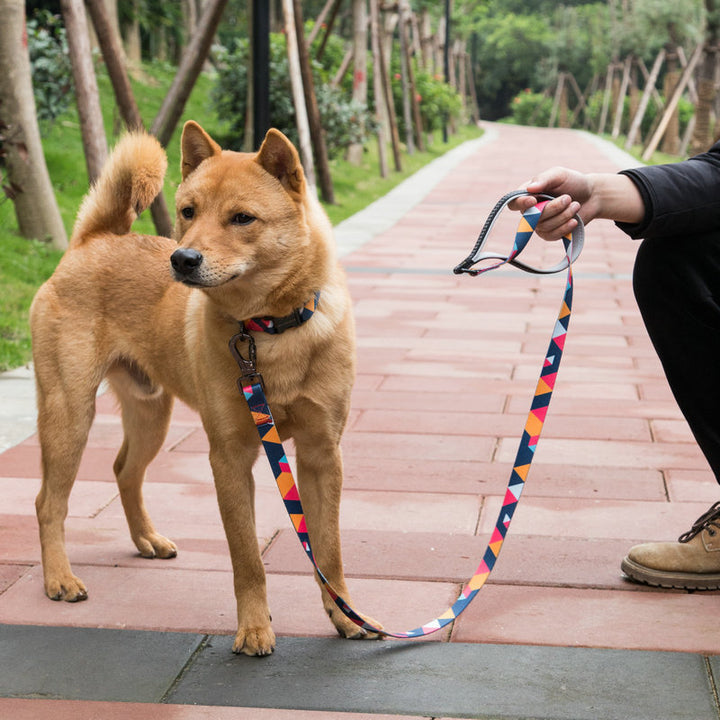 Durable Pet Control Leash Rope Safety Walking Lead