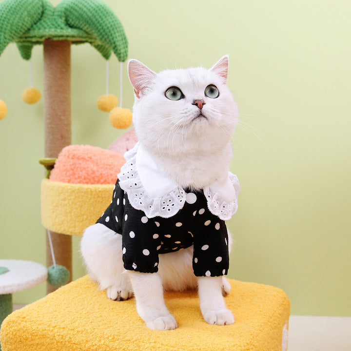 Pet Blue Ragdoll Style T-Shirt Apparel