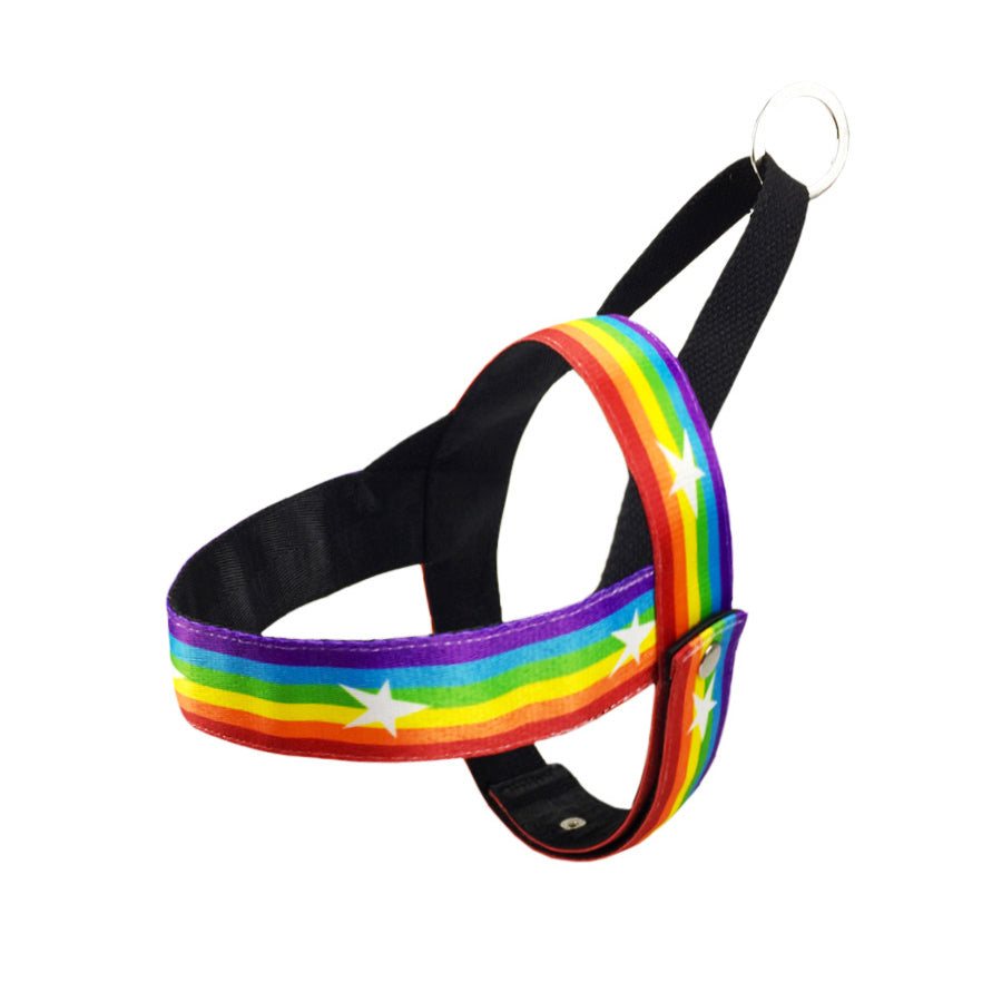 Rainbow Color Pet Chain Leash Durable Control Rope
