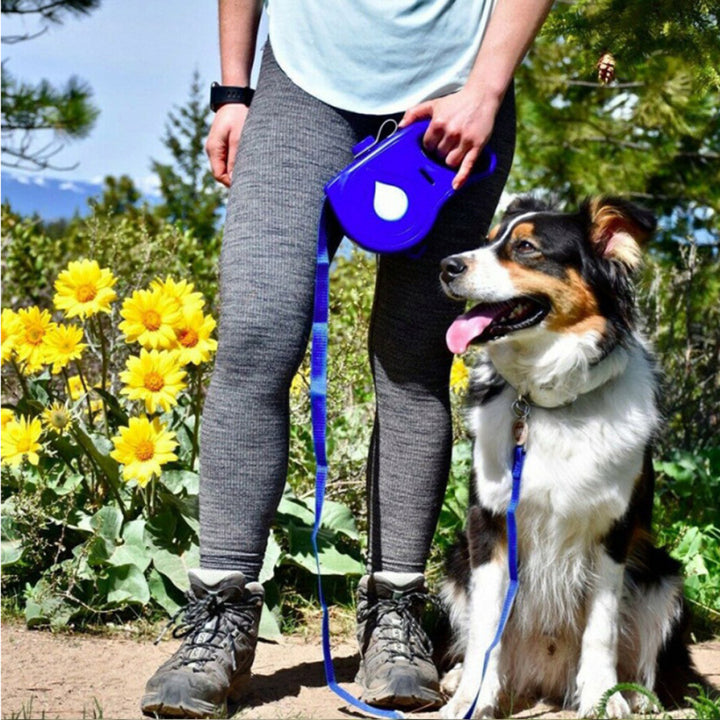 Automatic Retractable Multifunctional Pet Leash Portable Walking Tool