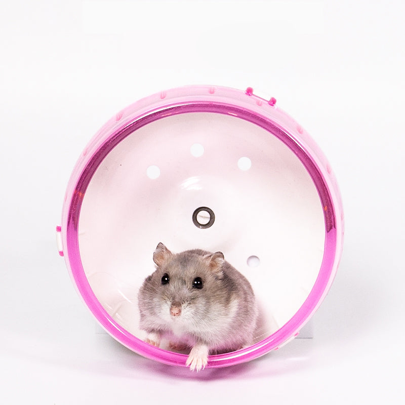 Large Hamster Running Wheel Cage Sports Ball Toy