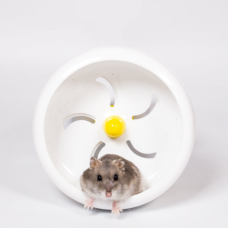 Large Hamster Running Wheel Cage Sports Ball Toy