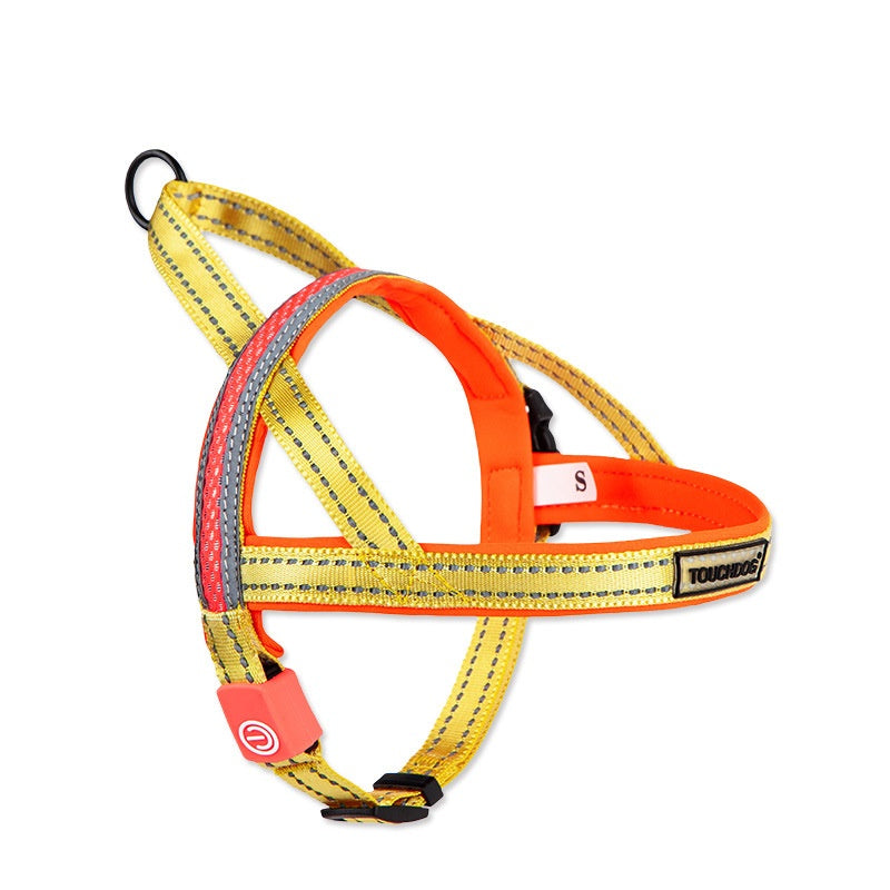 LED Light Pet Leash Illuminated Control Rope