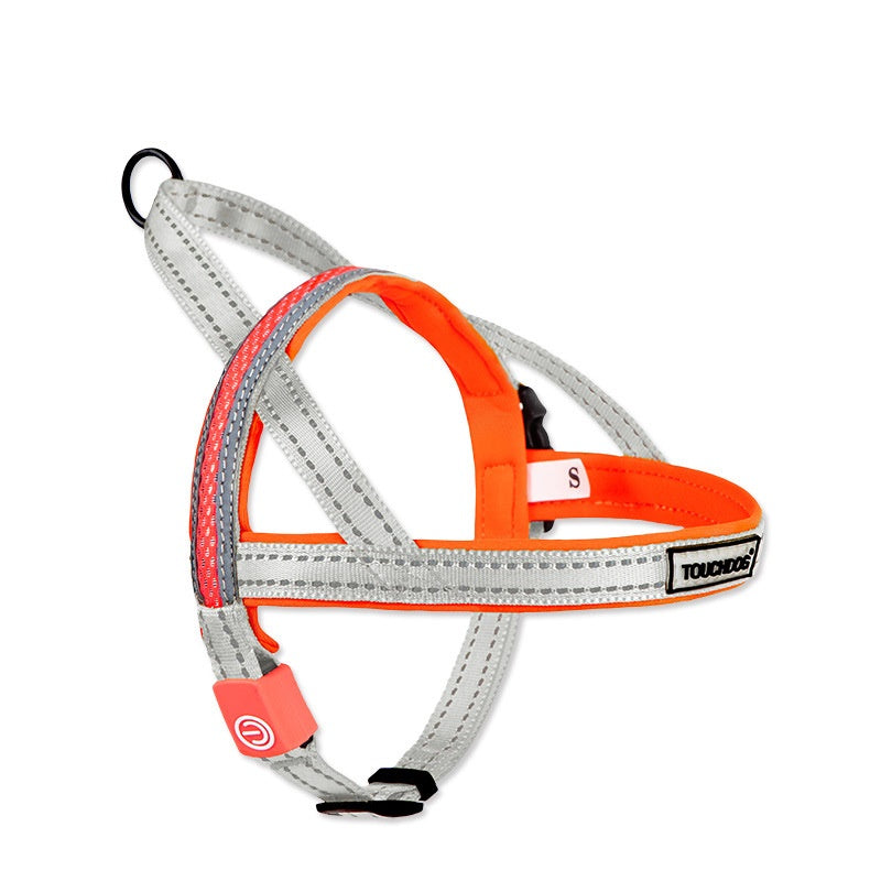 LED Light Pet Leash Illuminated Control Rope