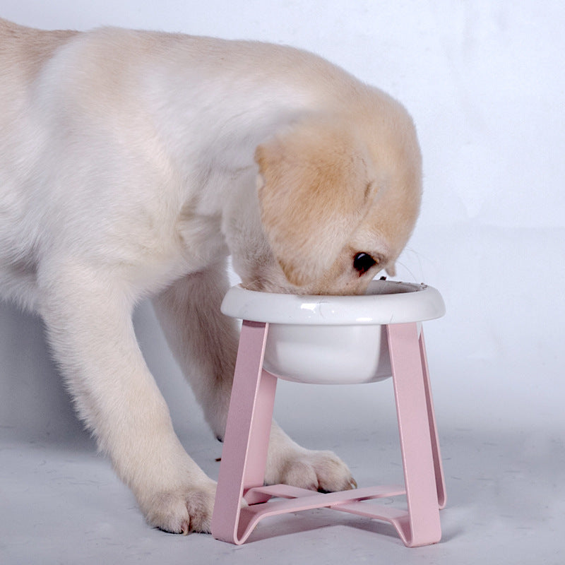 Anti Slip Pet Feeding Bowl With Stand Set