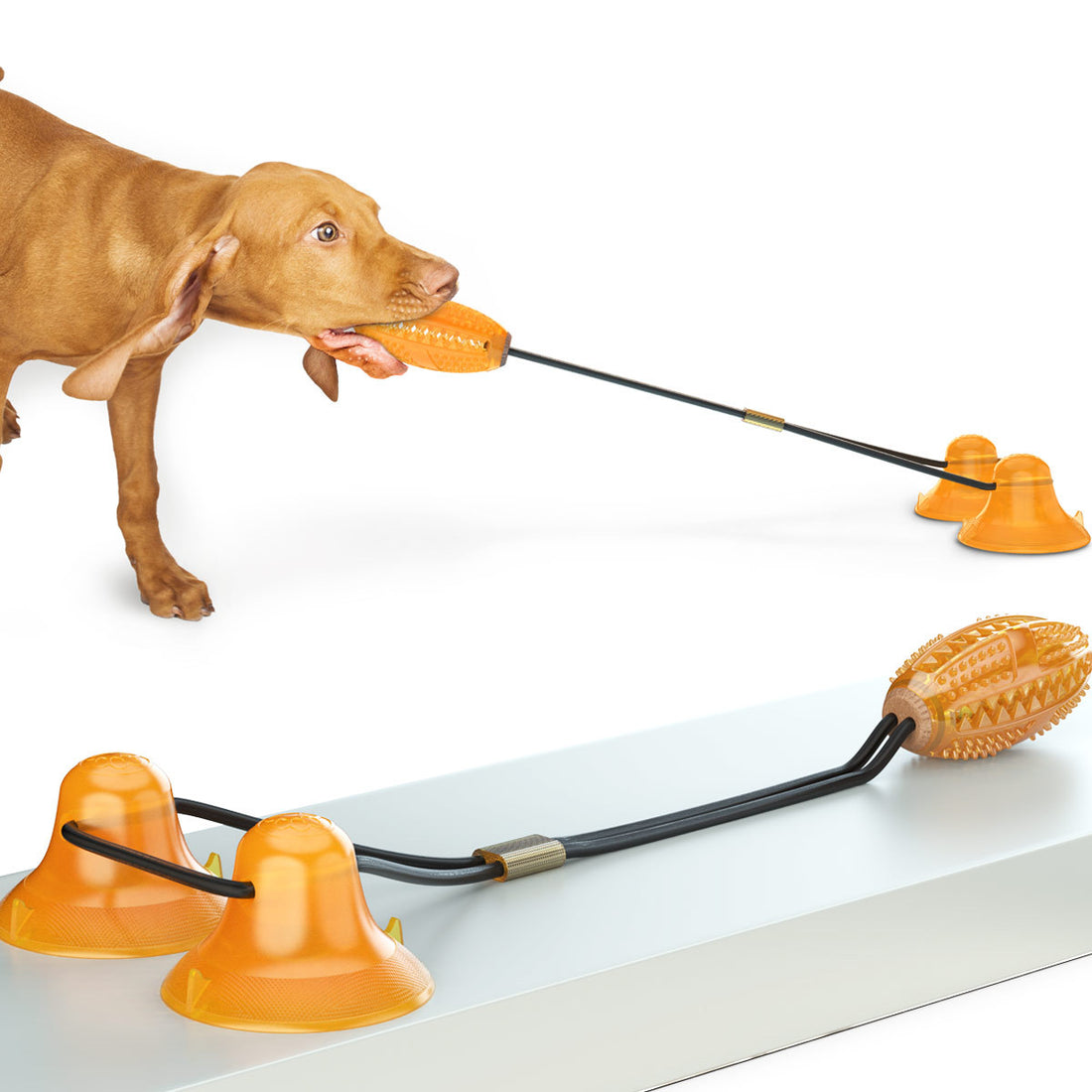 Pet Multifunction Double Rope Ball Suction Chew Toy