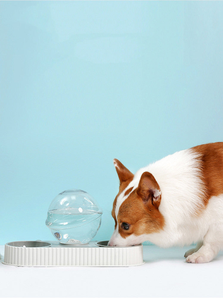 Pet Automatic Plastic Feeding Drinking Water Bowl Dispenser