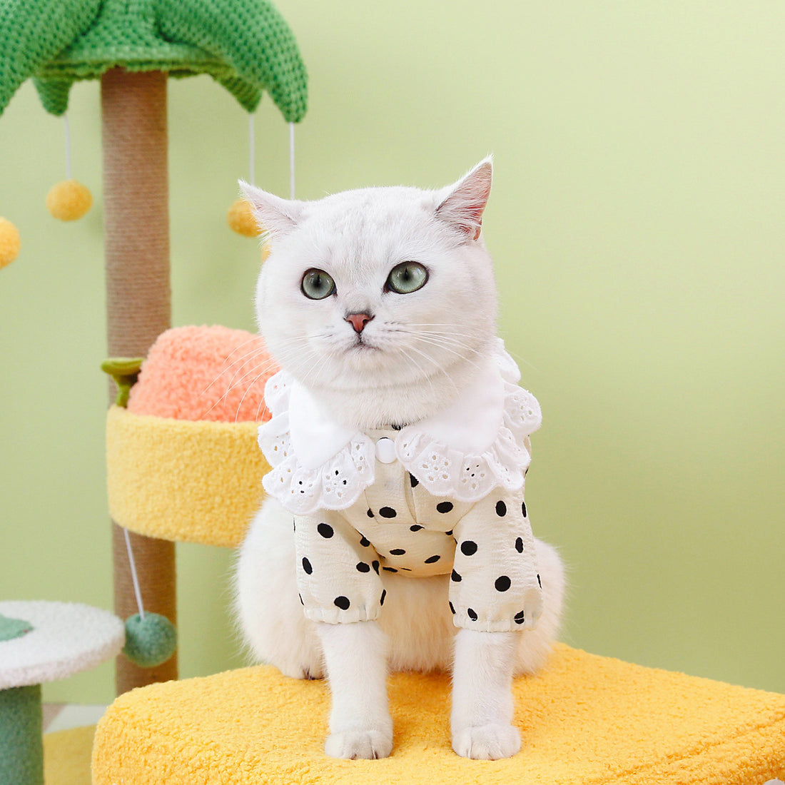 Pet Blue Ragdoll Style T-Shirt Apparel