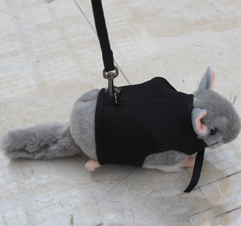 Adjustable Durable Pet Leash For Outdoor Walking