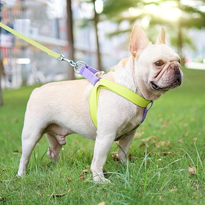 Rainbow Color Pet Harness Anti Escape Vest Leash Set