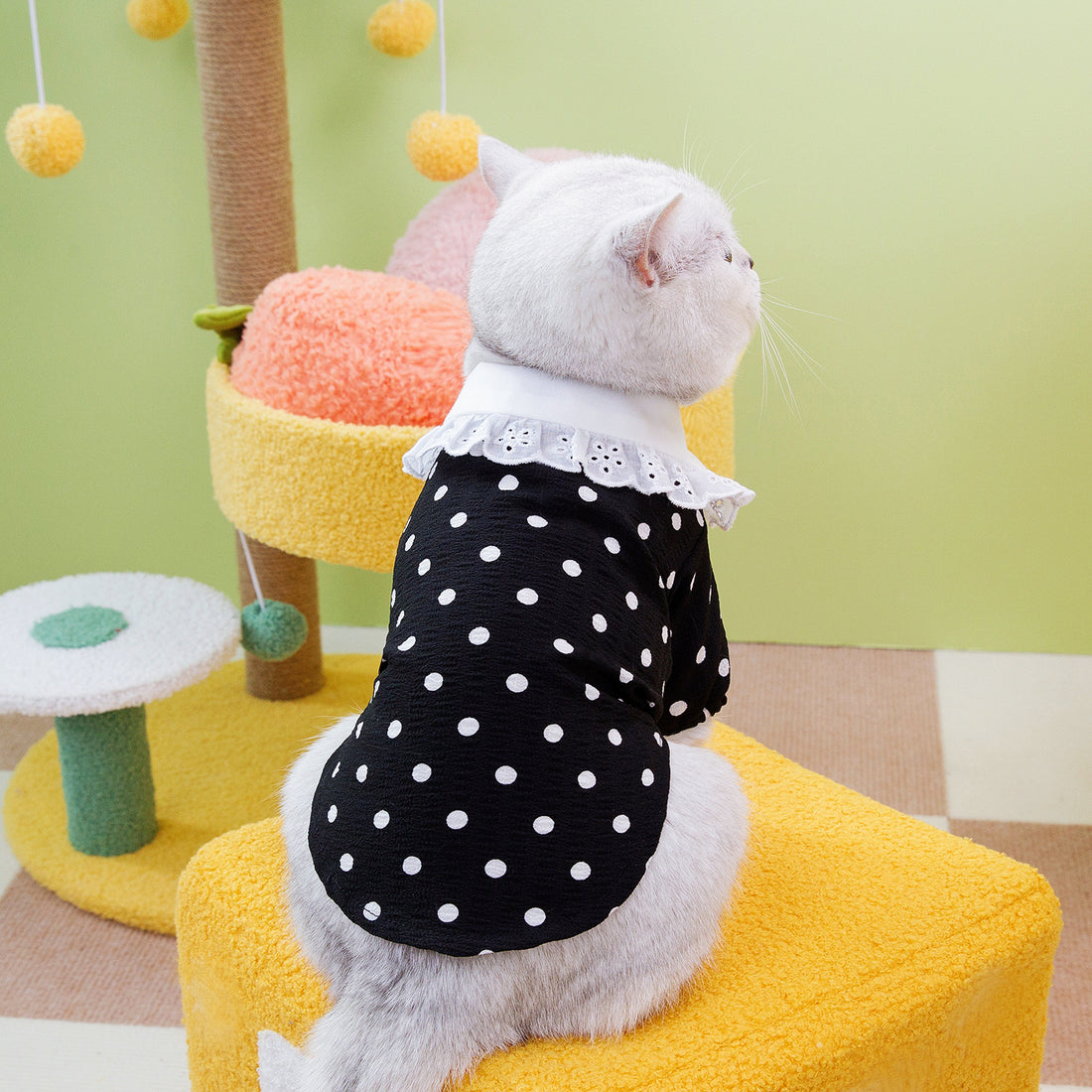 Pet Blue Ragdoll Style T-Shirt Apparel