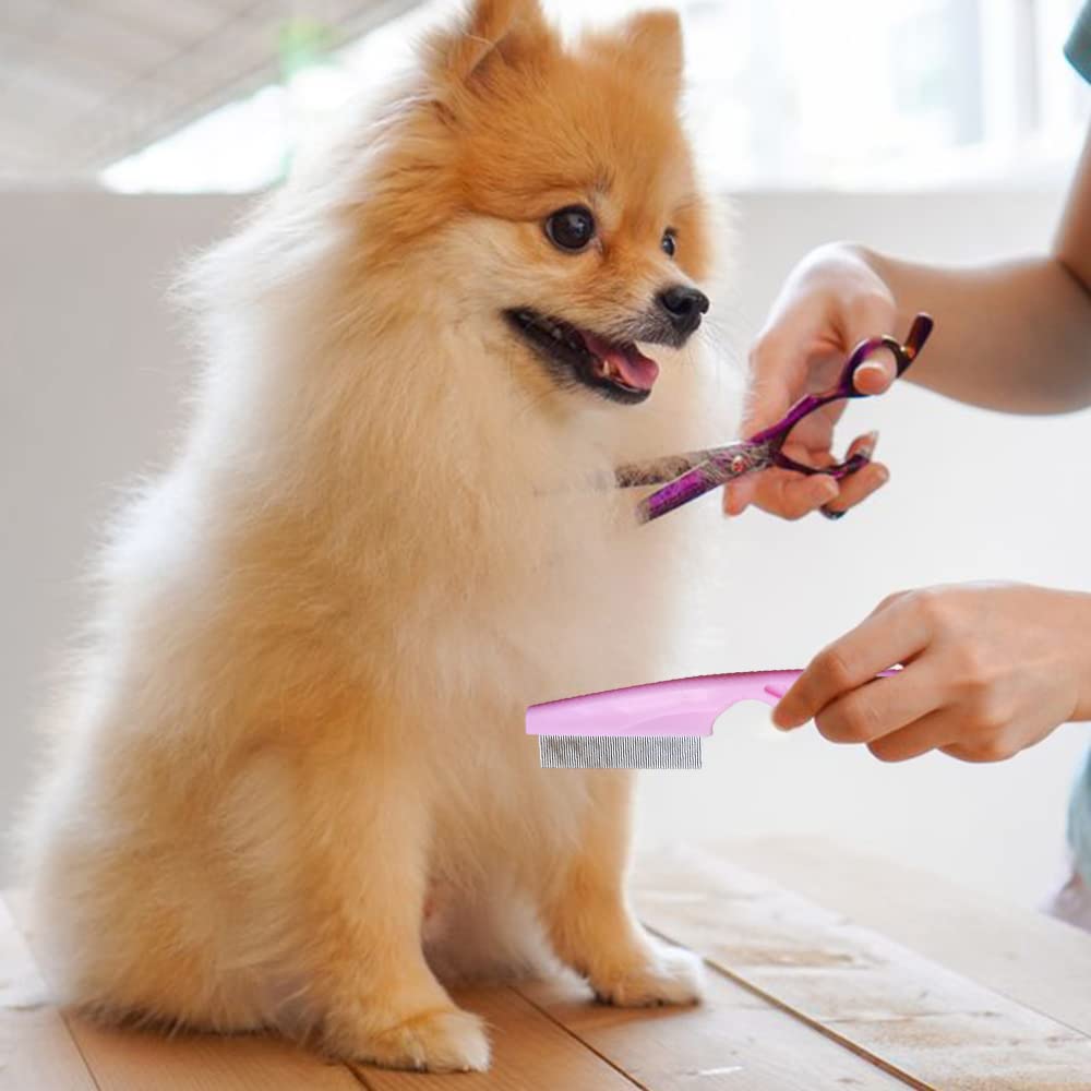 Pet Multifunction Tear Stain Removal Grooming Comb Kit