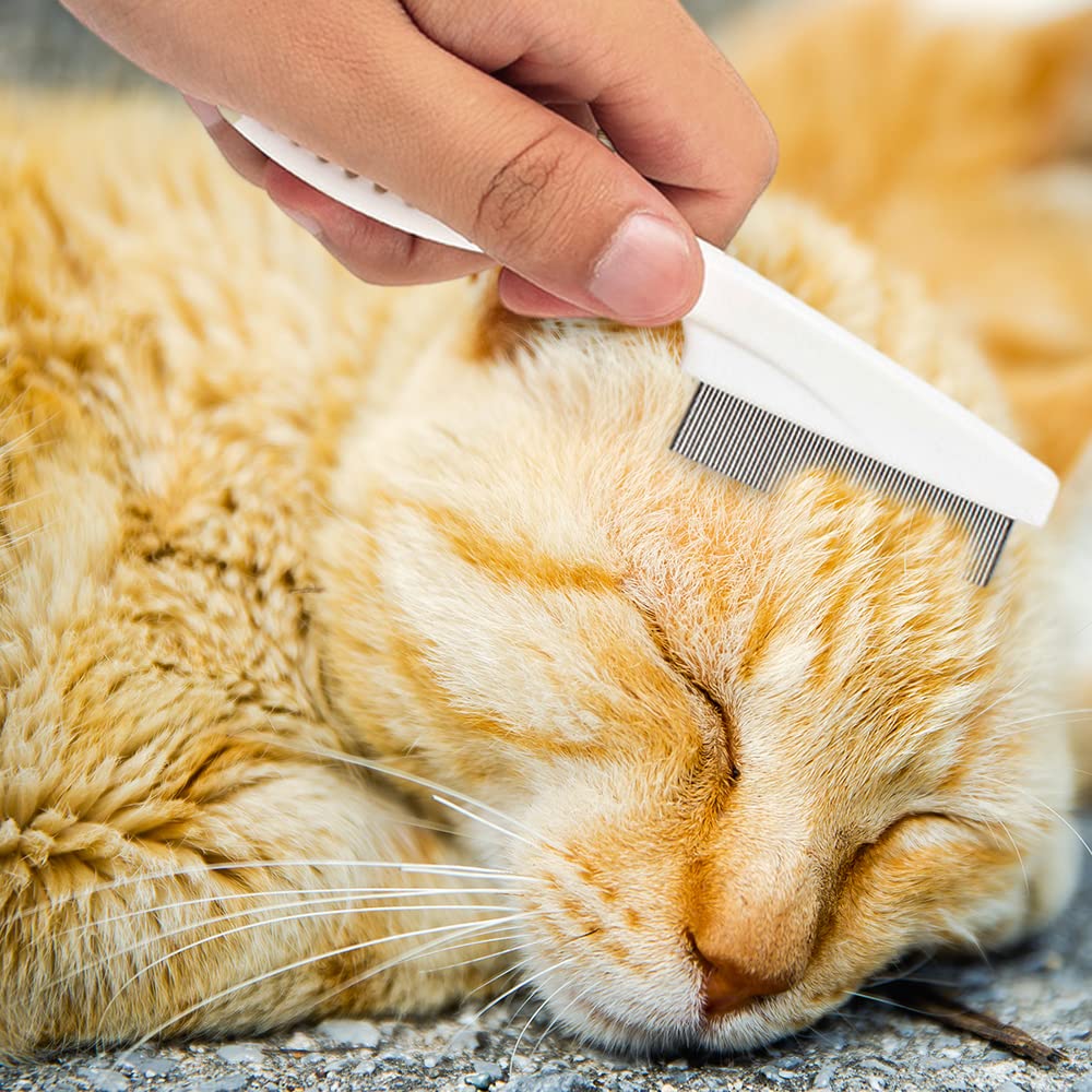 Pet Multifunction Tear Stain Removal Grooming Comb Kit