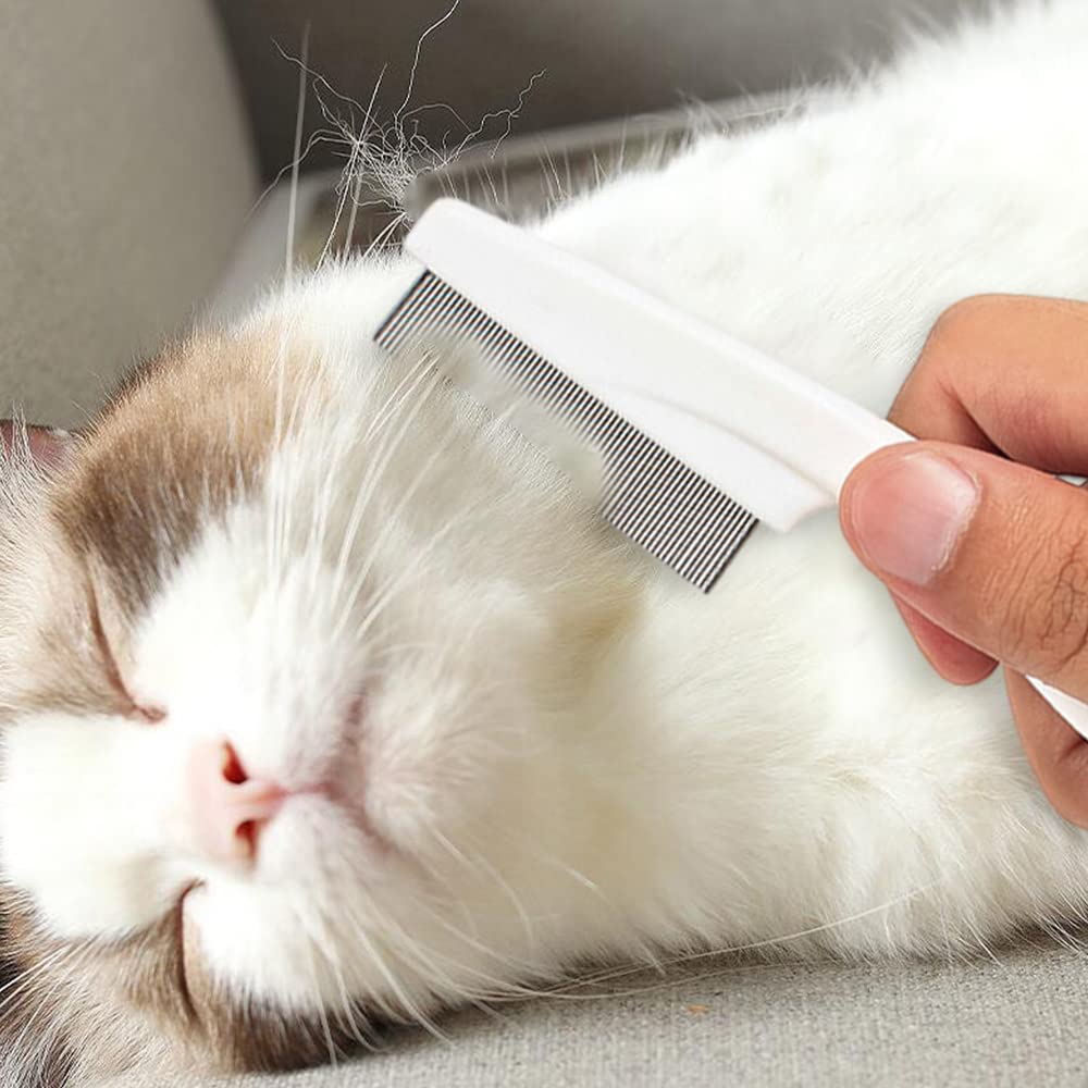 Pet Multifunction Tear Stain Removal Grooming Comb Kit