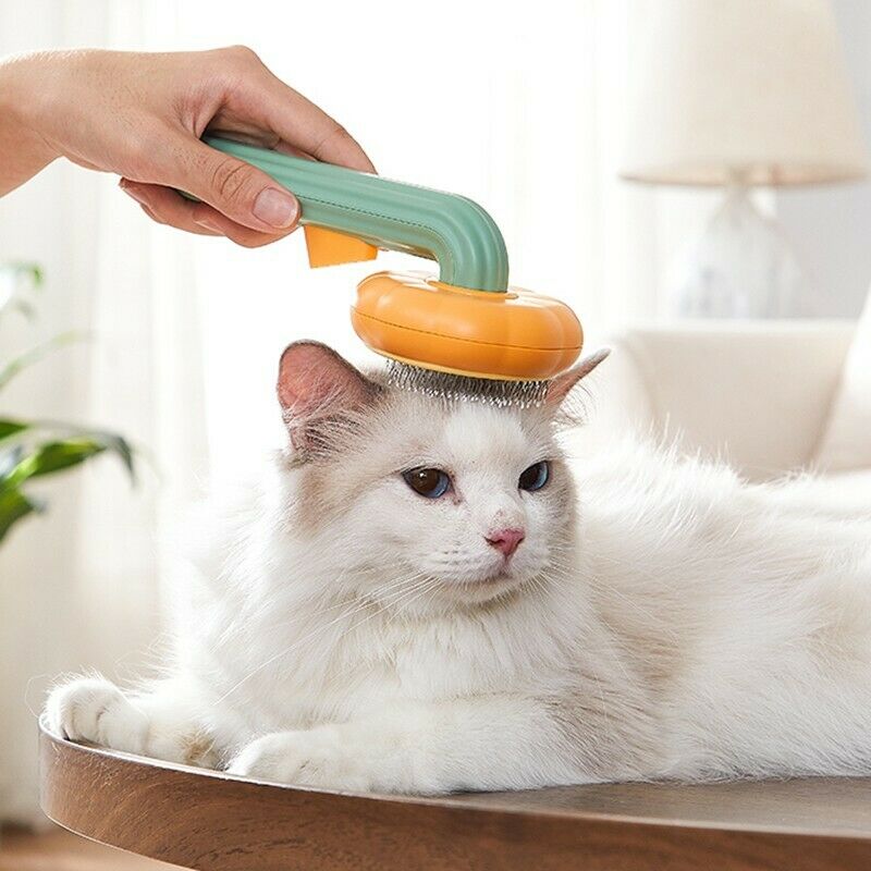 Pet Pumpkin Self Cleaning Slicker Grooming Brush Tool