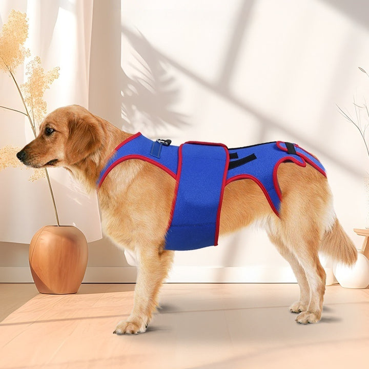 Pet Spine Support Jacket Prevents Hunching Posture Correction