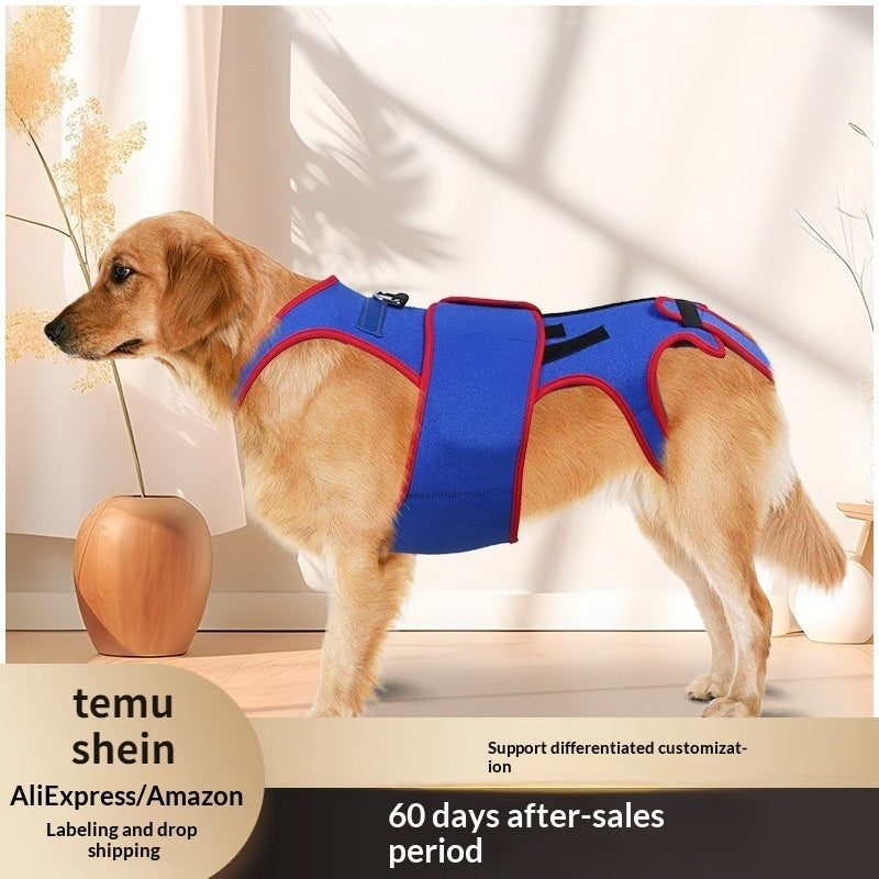 Pet Spine Support Jacket Prevents Hunching Posture Correction