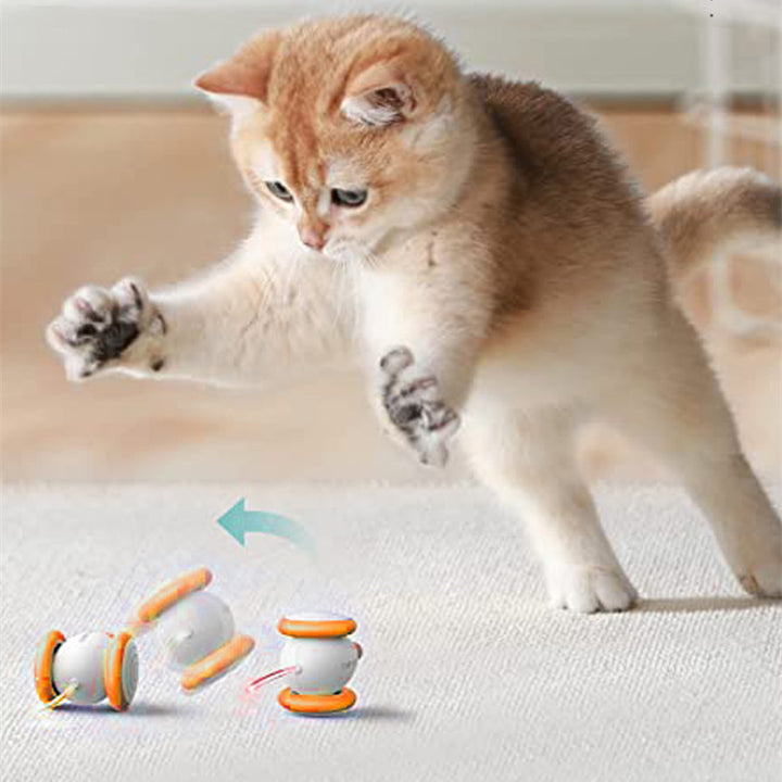 Pet Electric Interactive Rechargeable Teasing Toy