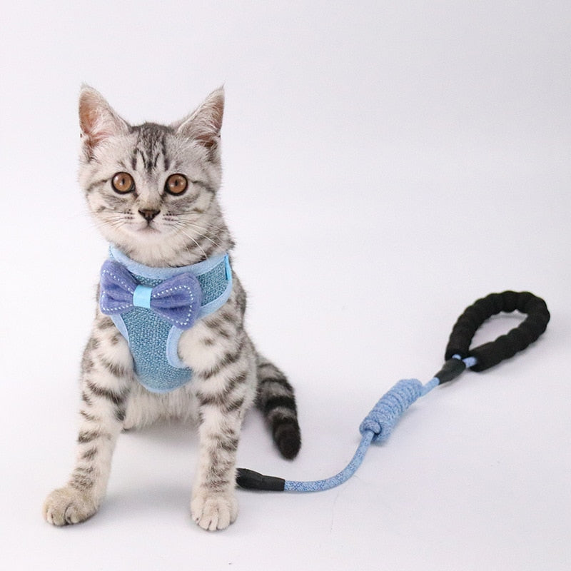 Pet Chest And Back Harness With Control Leash