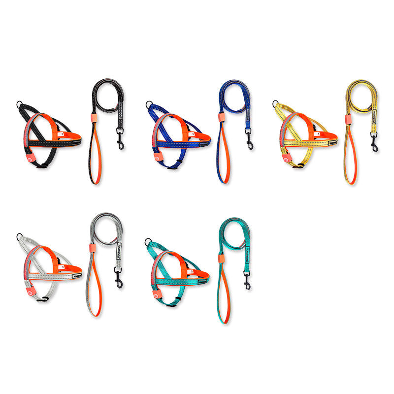 LED Light Pet Leash Illuminated Control Rope