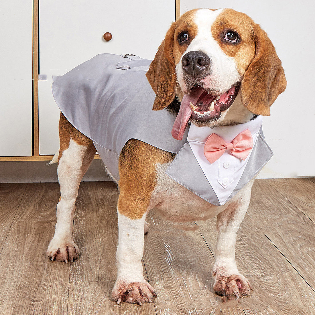 Swallowtail Wedding Suit Jacket Formal Pet Clothing