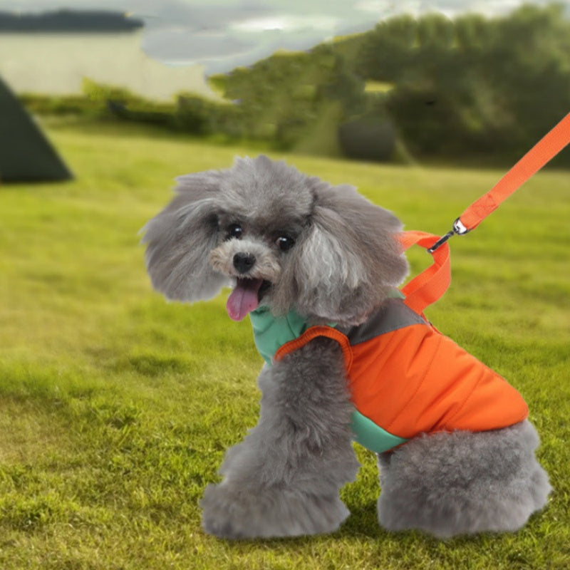 Winter Cotton Padded Pet Coat Warm Clothing