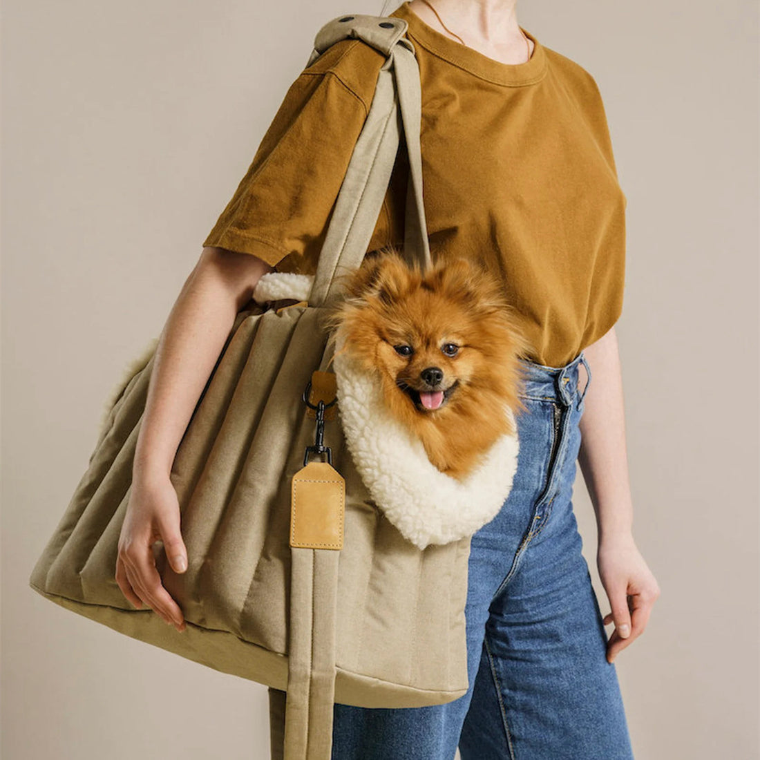 Light Waterproof Pet Carrier Handbag Fashion Travel Bag