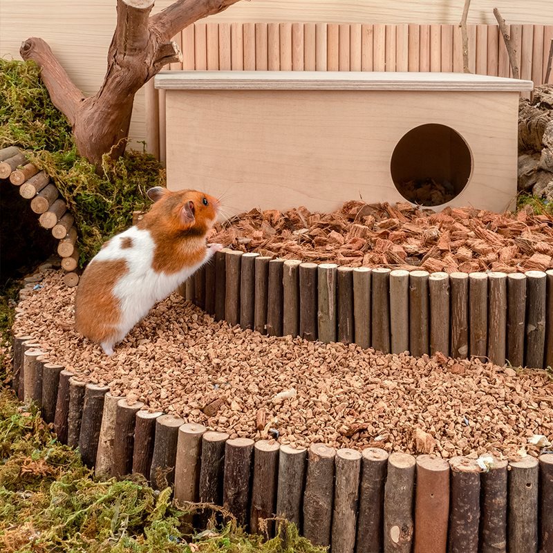 Oak Cork Hamster Bedding Dust Free Landscaping Supplies