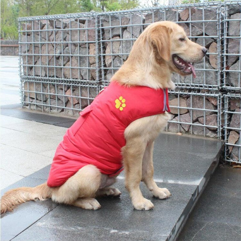 Winter Cotton Pet Coat Warm Outdoor Clothing