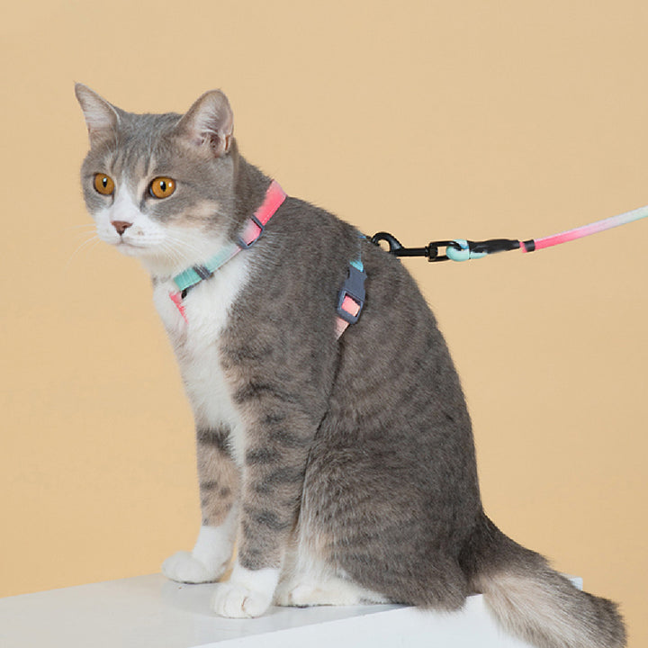 Fashion Pet Leash Anti Escape Control Rope