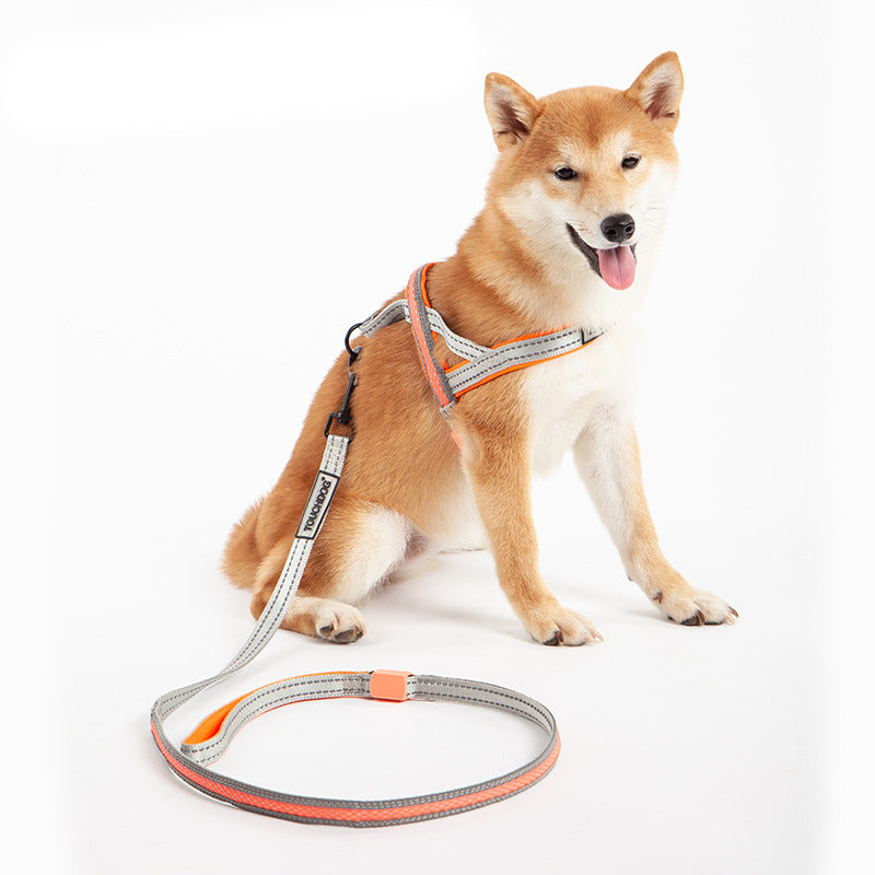 LED Light Pet Leash Illuminated Control Rope