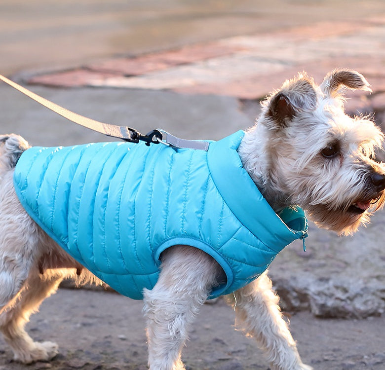 Pet Nylon Zipper Autumn Winter Jacket Clothing