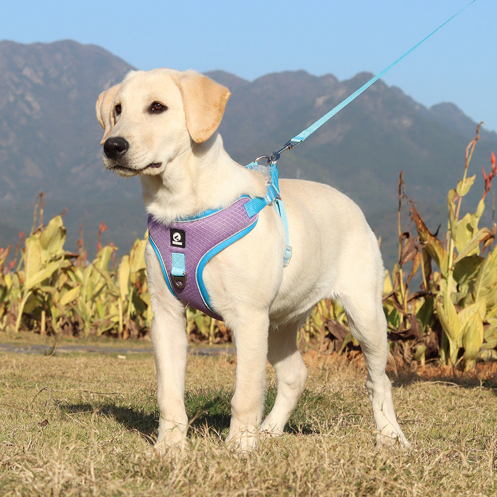 Adjustable Breathable Pet Harness With Control Leash