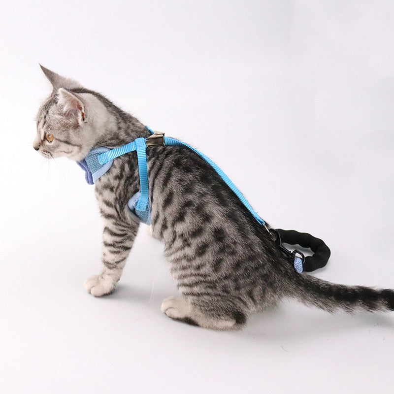 Pet Chest And Back Harness With Control Leash