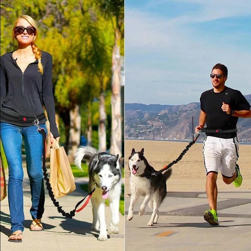 Adjustable Pet Harness Collar Jogging Control Leash