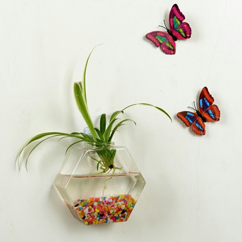 Wall Mounted Fish Tank