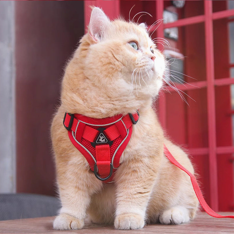 Pet Harness Vest Chest Strap With Control Leash Set