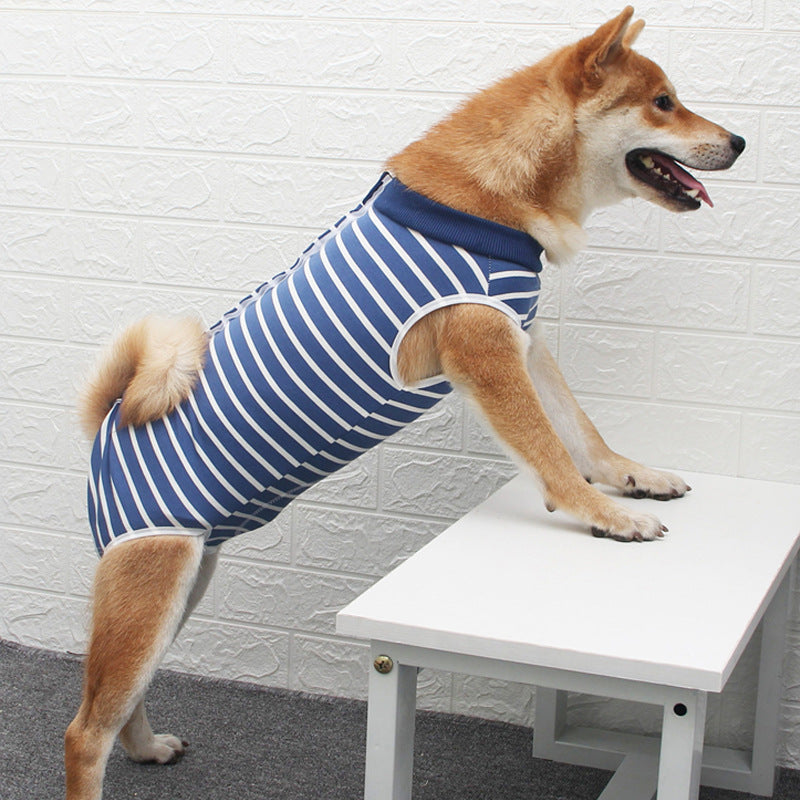 Pet Fashion Personality Multi Color Clothing Apparel