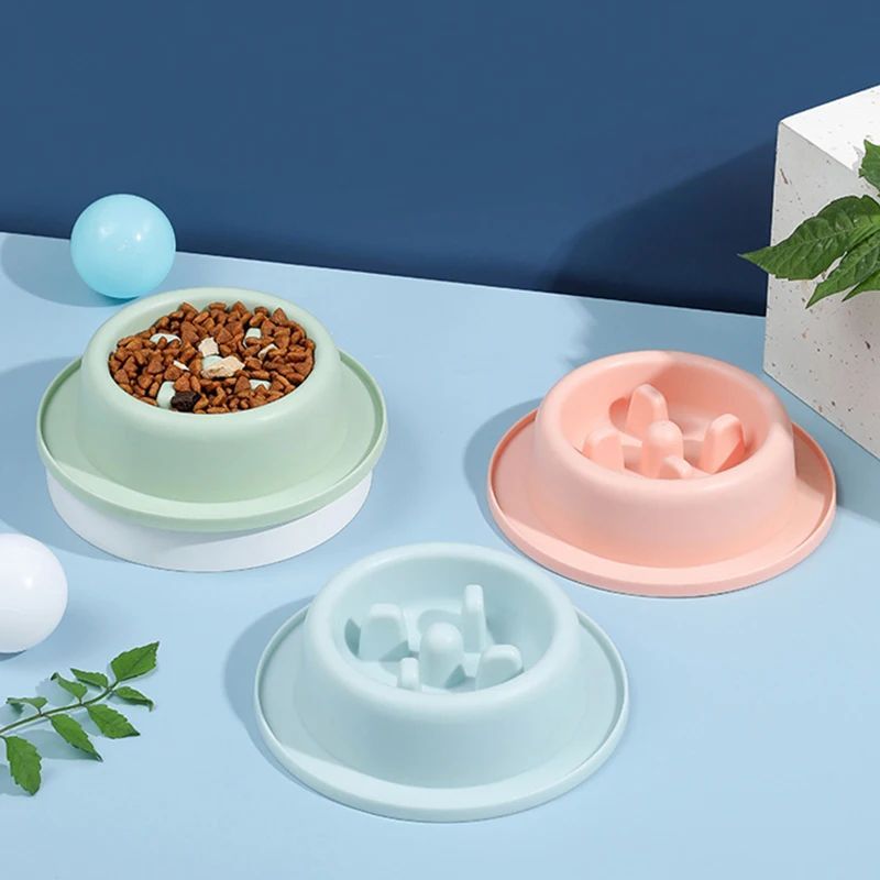 Pet Slow Eating Anti Choking Interactive Feeding Bowl